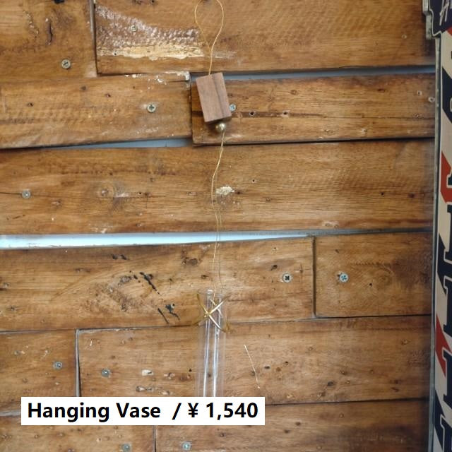 HANGING FLOWER VASE Single flower vase Wall hanging