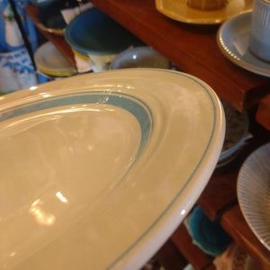 COUNTRYSIDE　27cm　DINNER　PLATE　　２COLORS IN TOTAL　MAINDISH　ONE　PLATE　MEAL　PLATE　LUNCH