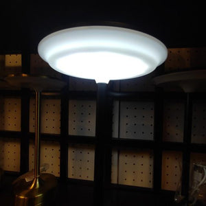Topanga Lighting LED Touch Recharge Table Lamp, 3 Colors Available, Adjustable Brightness, Table Lamp, Bedroom Lamp, Desk Lamp