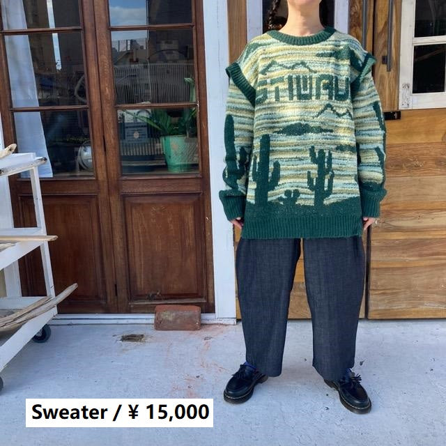 TOPANGA Lady's　2wayサボテンセーター