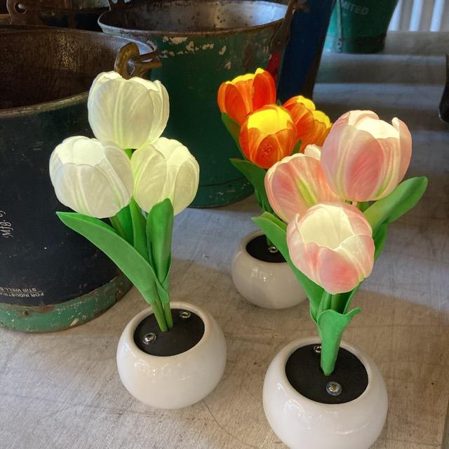 チューリップポータブルランプ　ピンク