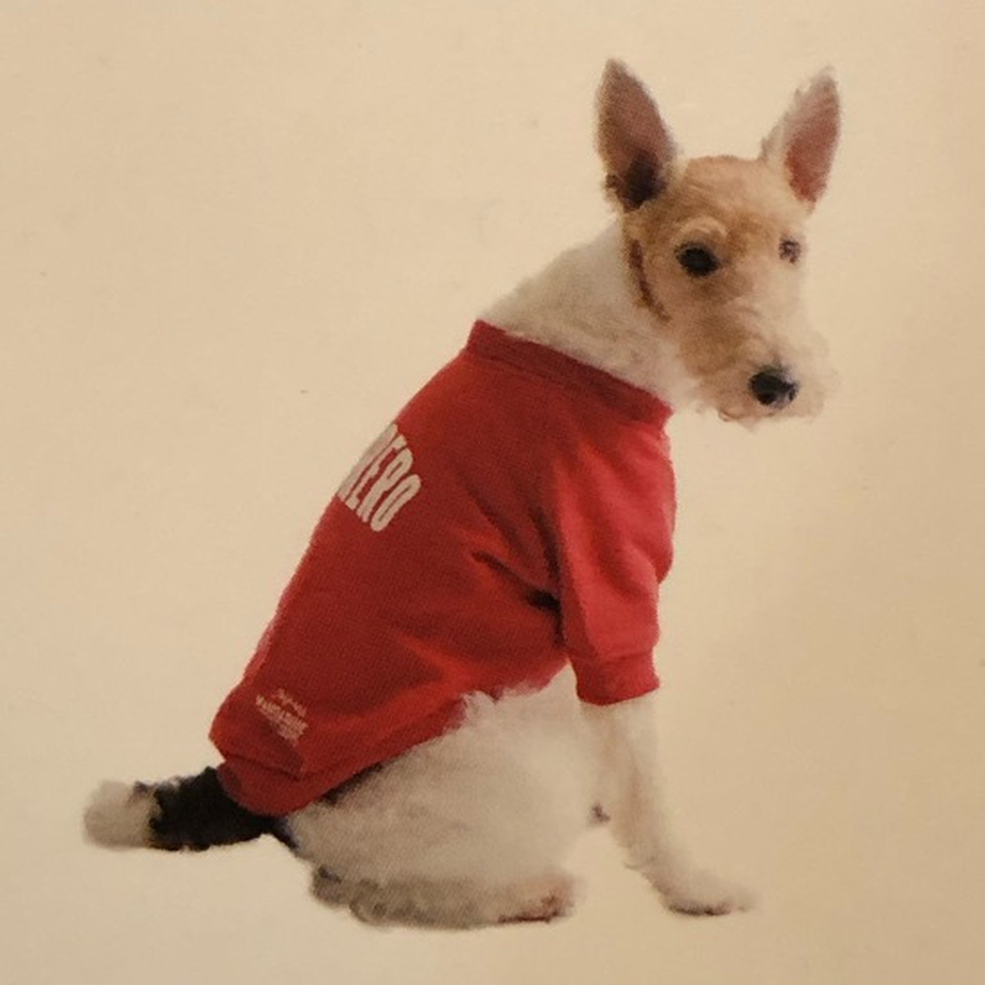 Dog wear ロゴトレーナー　POTORERO　(XL,XXLサイズ)