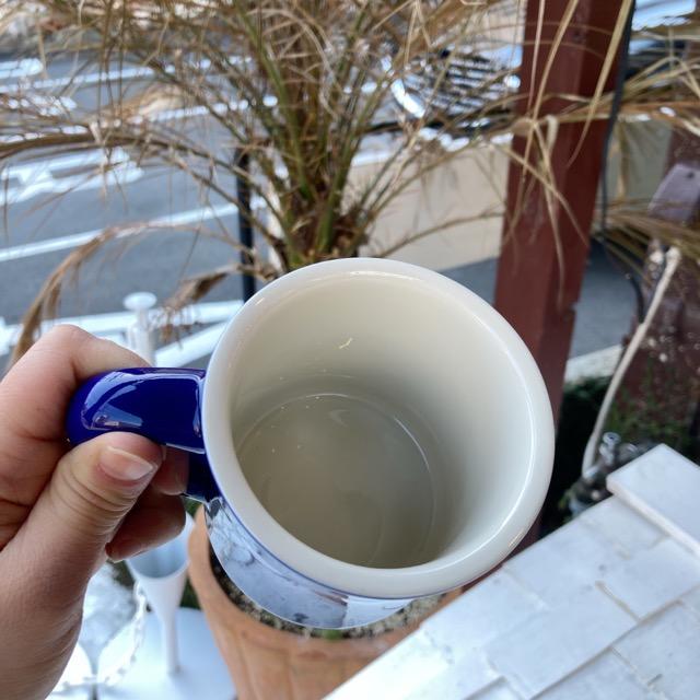 Countryside Diner Mug 6 colors