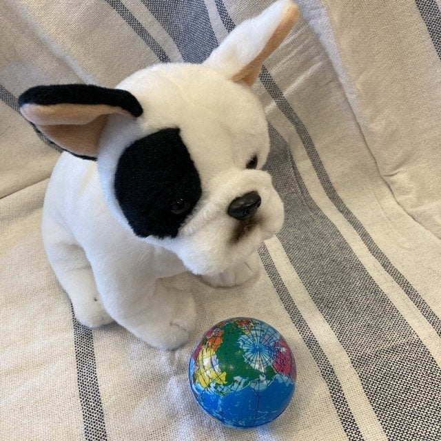 Dog toy　ワールドマップボール　BIG