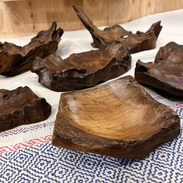 チークの根っこ　トレイ　アソート