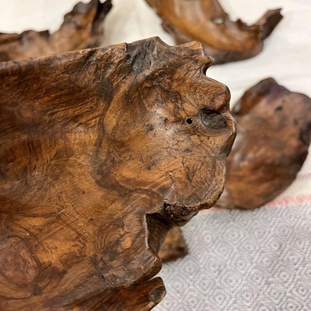 チークの根っこ　トレイ　アソート