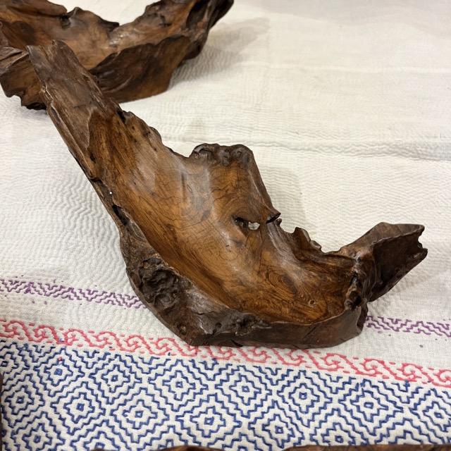 チークの根っこ　トレイ　アソート