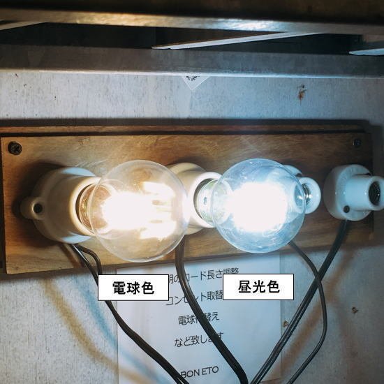 フィラメントLEDクリアグローブ球 E26/80W形相当/750LM/電球色