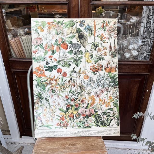 Floral Book Poster B