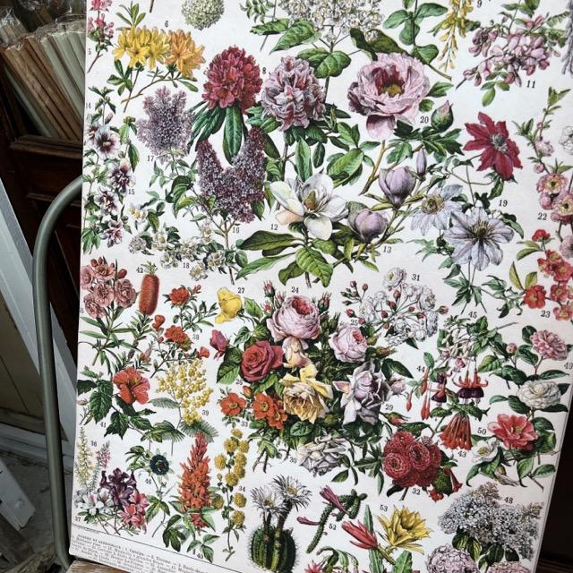 フローラルブックポスター　B