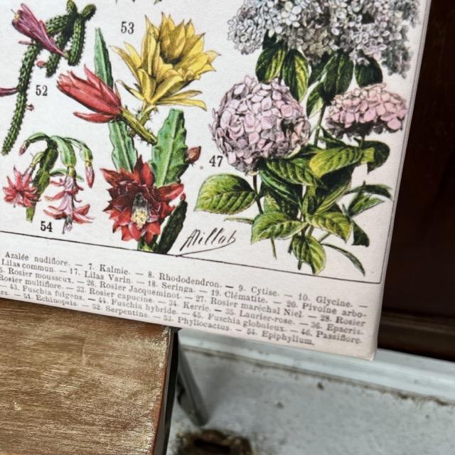 フローラルブックポスター　B