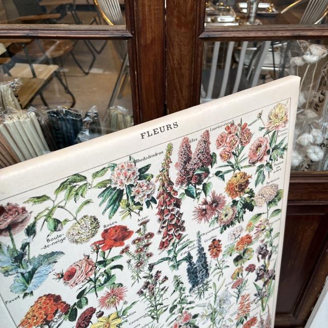 フローラルブックポスター　D