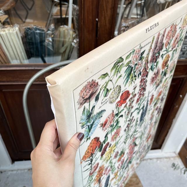 フローラルブックポスター　D